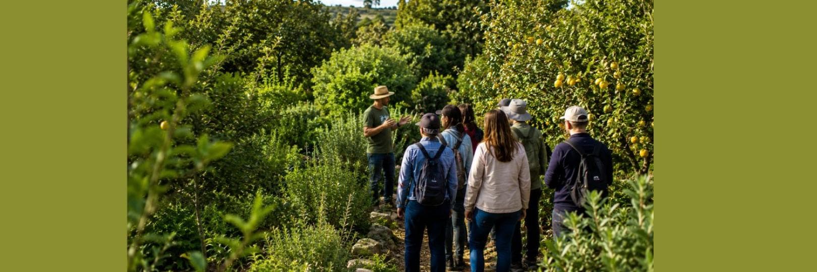 Exploring Manna Food Forest: A Visit to Mission Green's Forest Garden